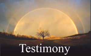 testimony[1]