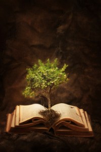 The Tree of Knowledge