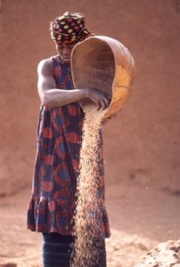 af-grain-pouring-mali[1]