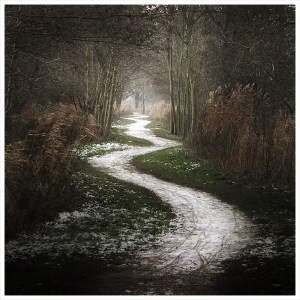 path[1]