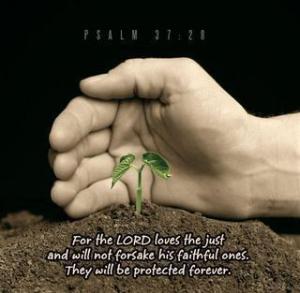 psalm-37-28-lord-loves[1]