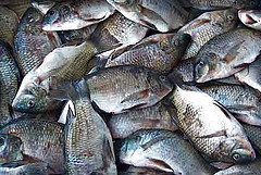 3957687394_0e887e752b_m[1]