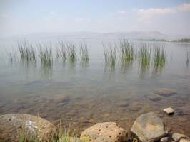 sea-of-galilee-2[1]