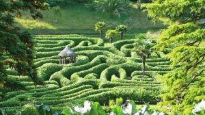 Cornwall, England: Glendurgan Gardens
