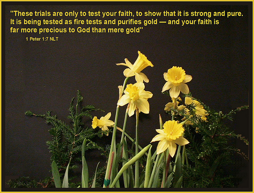 4418670434_2d1d736229[1]