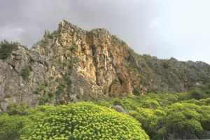Mount Carmel Today
