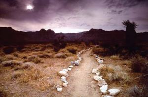 pathways-report_img_9[1]