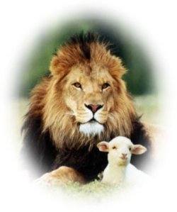 lion and lamb
