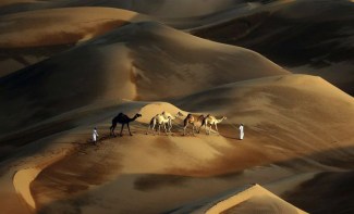The Liwa Desert