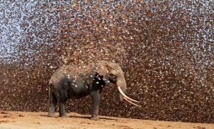 World-News-Tomorrow6-300x181[1]