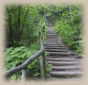 college_nature_image