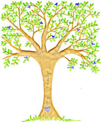 family tree
