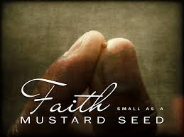 faith as mustard seed
