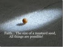 faith the size of mustard seed