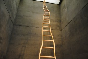 ladder_for_bookertwashington