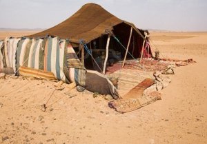 Bedouin Tent in the Sahara