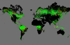 Google-Earth-Deforestation-lead-537x342