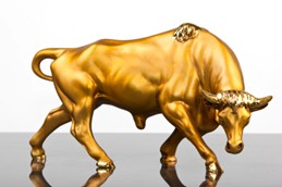Golden bull sclupture on grey glass