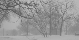 A late and frosty winter rain