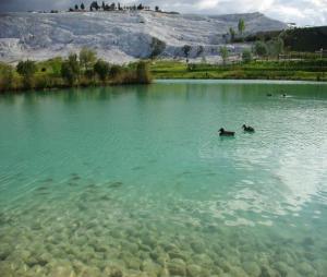 The River Chebar today