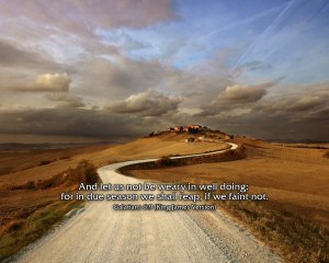 galatians_6.9_kjv_wallpaper.