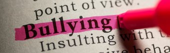 Fake Dictionary, definition of the word bullying.