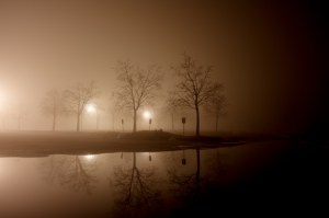 Dave Erickson: Fog Dome