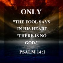 fool-quote