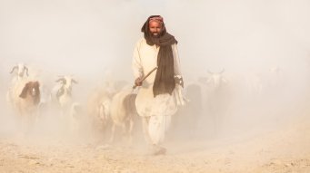 the_good_shepherd_by_zaghami-d6rzo8x